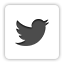 Share on Twitter